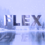 Flex Project