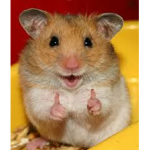 SUS SPACE HAMSTER~FAN CHAT