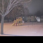  abandoned park forest