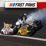 Fast Paws [WCUE]