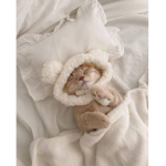 kittens angels