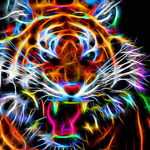 River tigers