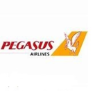 Pegasus airlines [ROBLOX]