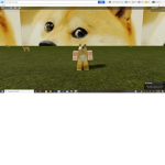 The Doge Cult Of Life