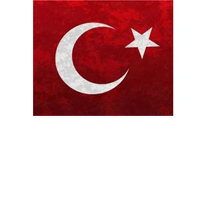 Türk Create Roblox group icon