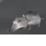 [Testing] I make trash games studio