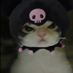 ʙᴏʏs ʜᴏᴍᴇsᴛᴏʀᴇ