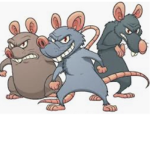 RATTY ARMY!