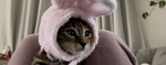 Hello world! TJ