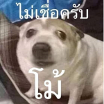Milk_Chocolate