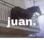 h_gang