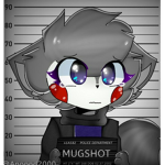 Willow Wolf Offical Group!