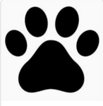 Doggo’s for life!