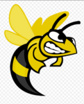 Suny Broom Hornets