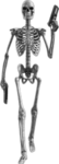 'tærin