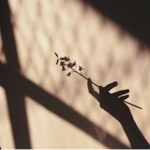 Lone°