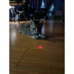 donate kitty thing