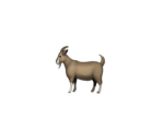 Da Goats!!