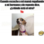 Soy pro42245