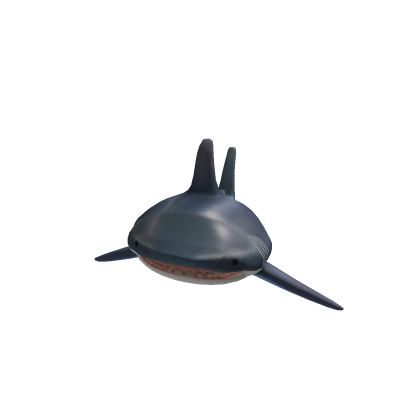 Mesh shark