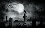The Graveyard Official