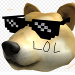 Doges and stuffs