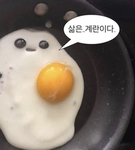 망두