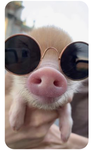 XxPiggyxX Nation