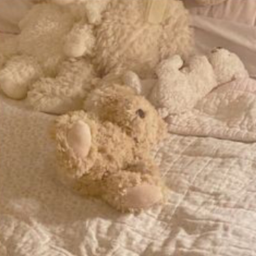 🧸