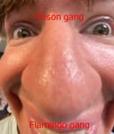 Da Flamingo Gang
