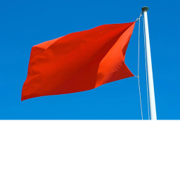 CAPTURE THE FLAG