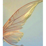 Fairie's Butterflies