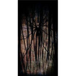 B.M.G Tale