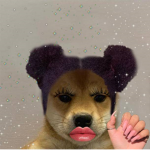 The people of dogs