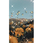 Blxssxm_aesthetics