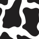 Cows United !