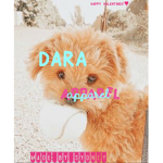 - dara apparel -