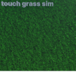 touch grass corp