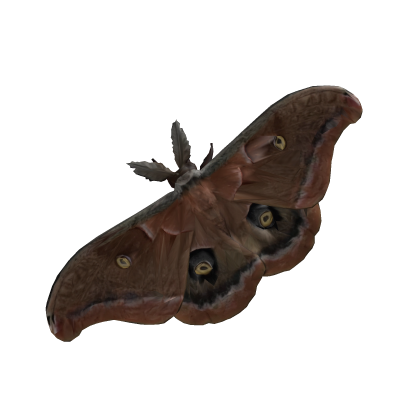 polyphemus moth creepypasta halloween brown bug