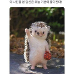 나타물 팬 클럽