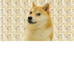 the ultimate meme group :}