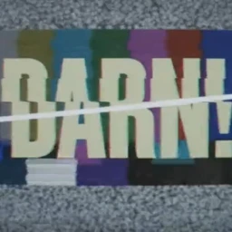 DARN! icon