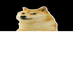 hoi n