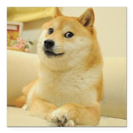 Doges United for all the doges