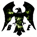 Black Eagle's Airforce Division