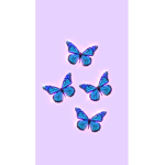 ~ Butterfly Siblings ~