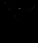 Arachnites