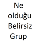 Ne olduğu Belirsiz Grup