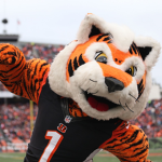 Who Dey nation