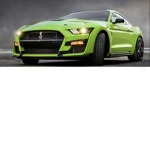 MY MUSTANG